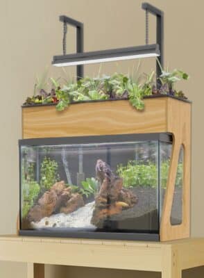 Aquaponic garden